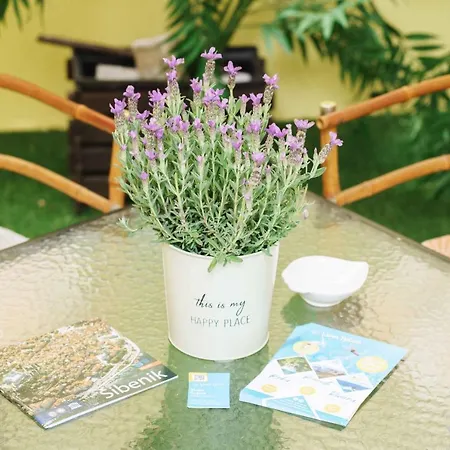 Apartamento Hortensia *